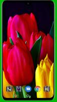 برنامه‌نما Tulips Wallpaper عکس از صفحه