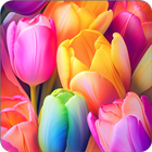 Tulip Wallpapers Offline HD icône