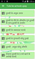 Tulsi (Basil) Ke Achook Fayade Cartaz