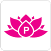 Diccionario Pali Plus APK