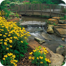 APK 1080p Nature Stream Backgrounds