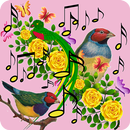 Bird Sound Ringtones: Bird call ringtones aplikacja