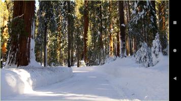 1080p Winter Backgrounds 截圖 2