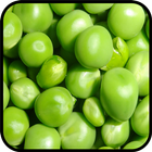Pea Salad Recipes أيقونة