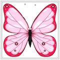 BUTTERFLY VPN