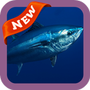 Tuna Wallpaper APK