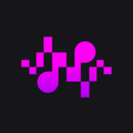 TuneFlex: Play Offline Music
