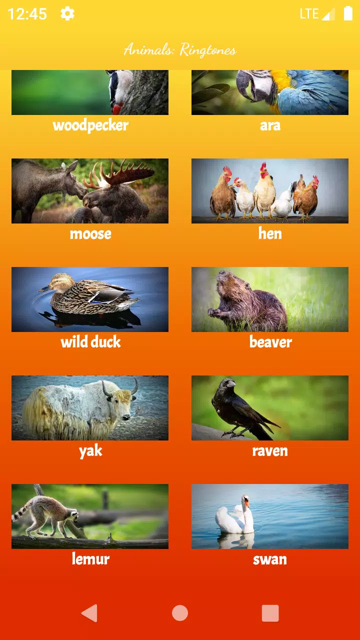 Animals: Ringtones APK for Android Download Animals: Ringtones APK for Android Download