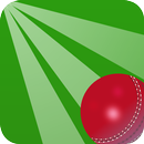 Cricket Quiz Challenge APK