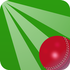 Cricket Quiz Challenge آئیکن