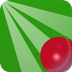 Cricket Quiz Challenge Zeichen