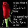 Hindi Status