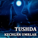Tushda kechgan umrlar APK