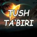 Tush ta'biri
