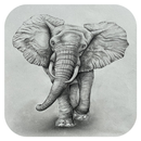 Elephant Wallpapers APK