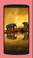 Elephant Wallpapers 海報