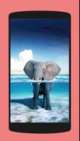 Elephant Wallpapers 截圖 2