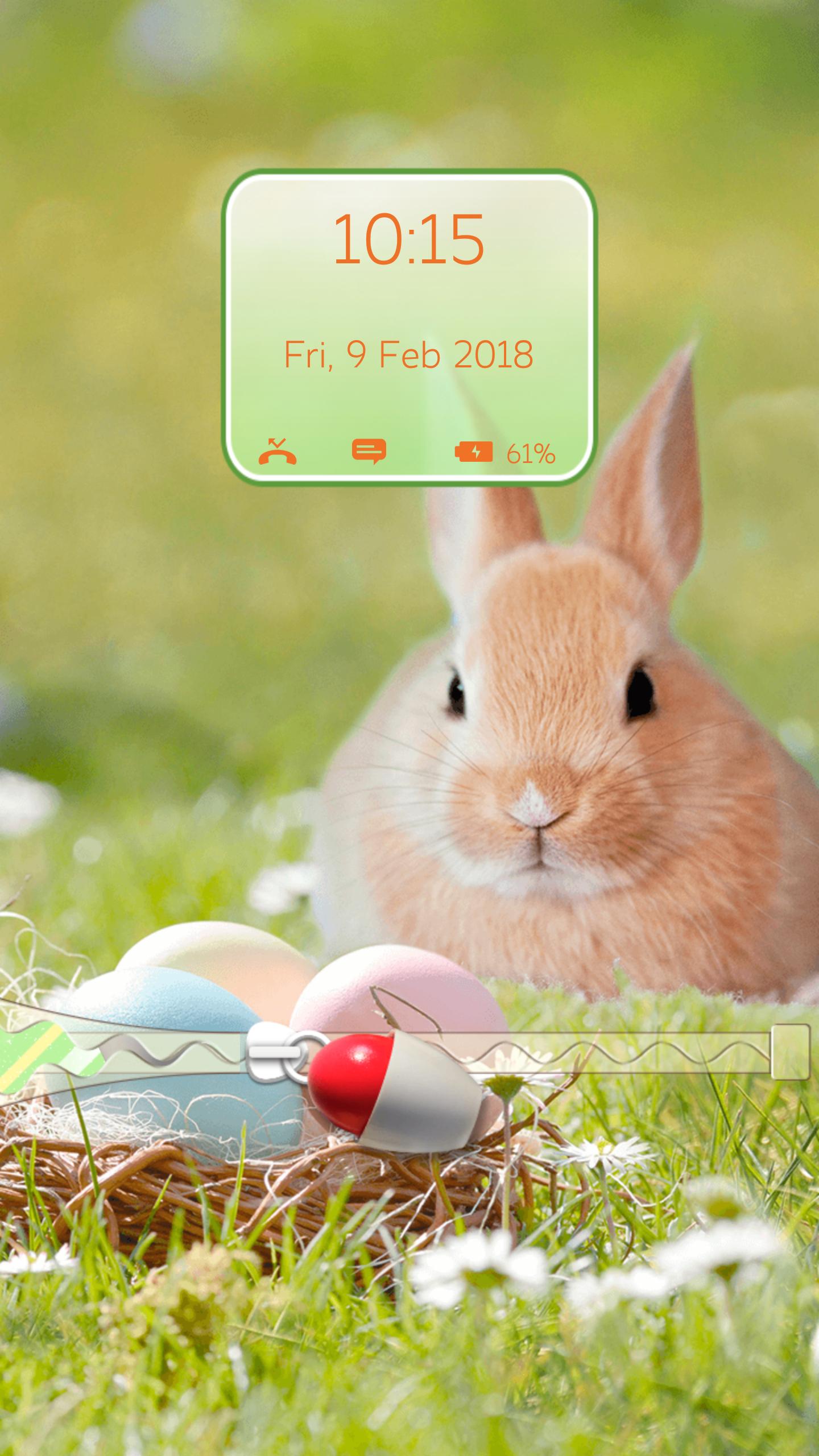 Проверить телефон на зайцев. Пасхальный заяц. Заяц на экран блокировки. Кролик на экран блокировки. Пасхальный заяц фото.