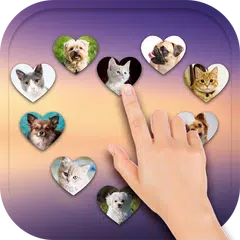 Lock Screen Photo Changer APK download