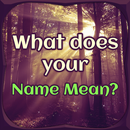 What does your Name Mean APK