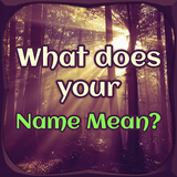 What does your Name Mean icon