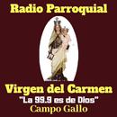 Fm Virgen del Carmen 99.9  Cam-APK
