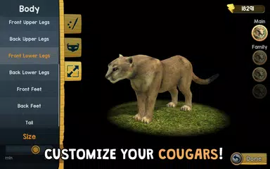 Wild Cougar Sim 3D APK download