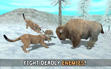 Wild Cougar Sim 3D APK download