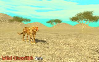 Poster Wild Cheetah Sim