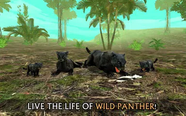 Wild Panther Sim 3D APK 下載