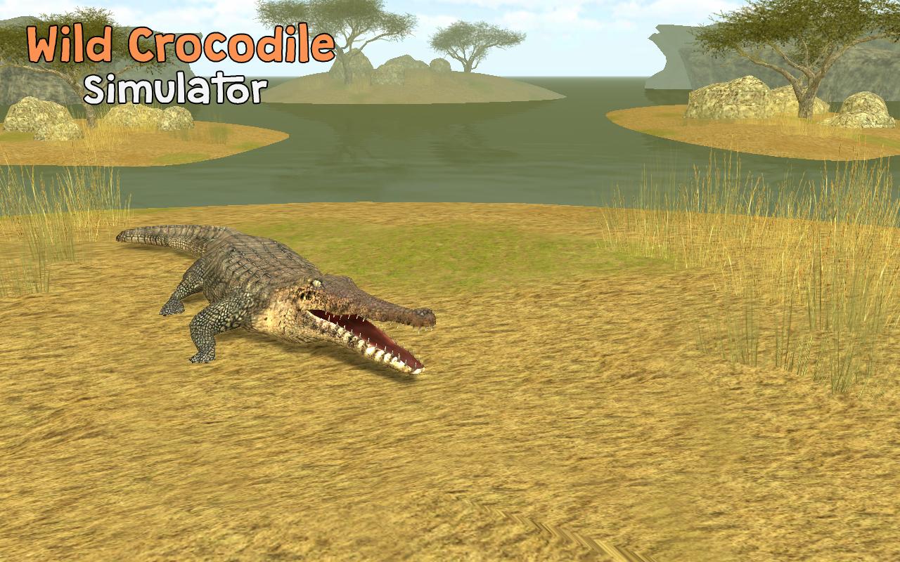 Игра крокодилы на болоте. Симулятор семьи крокодила. Дикий крокодил симулятор. Аллигатор игра. Игра Крокодайл.