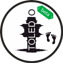 Toledo Paso a Paso APK