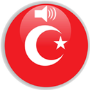 APK تعلم اللغة التركية بالصوت