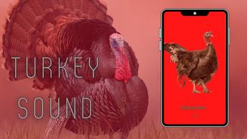 Turkey Sounds Plakat