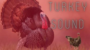 Turkey Sounds 截圖 1