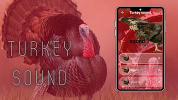 Turkey Sounds скриншот 2