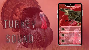 Turkey Sounds screenshot 2