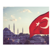 turkey pictures