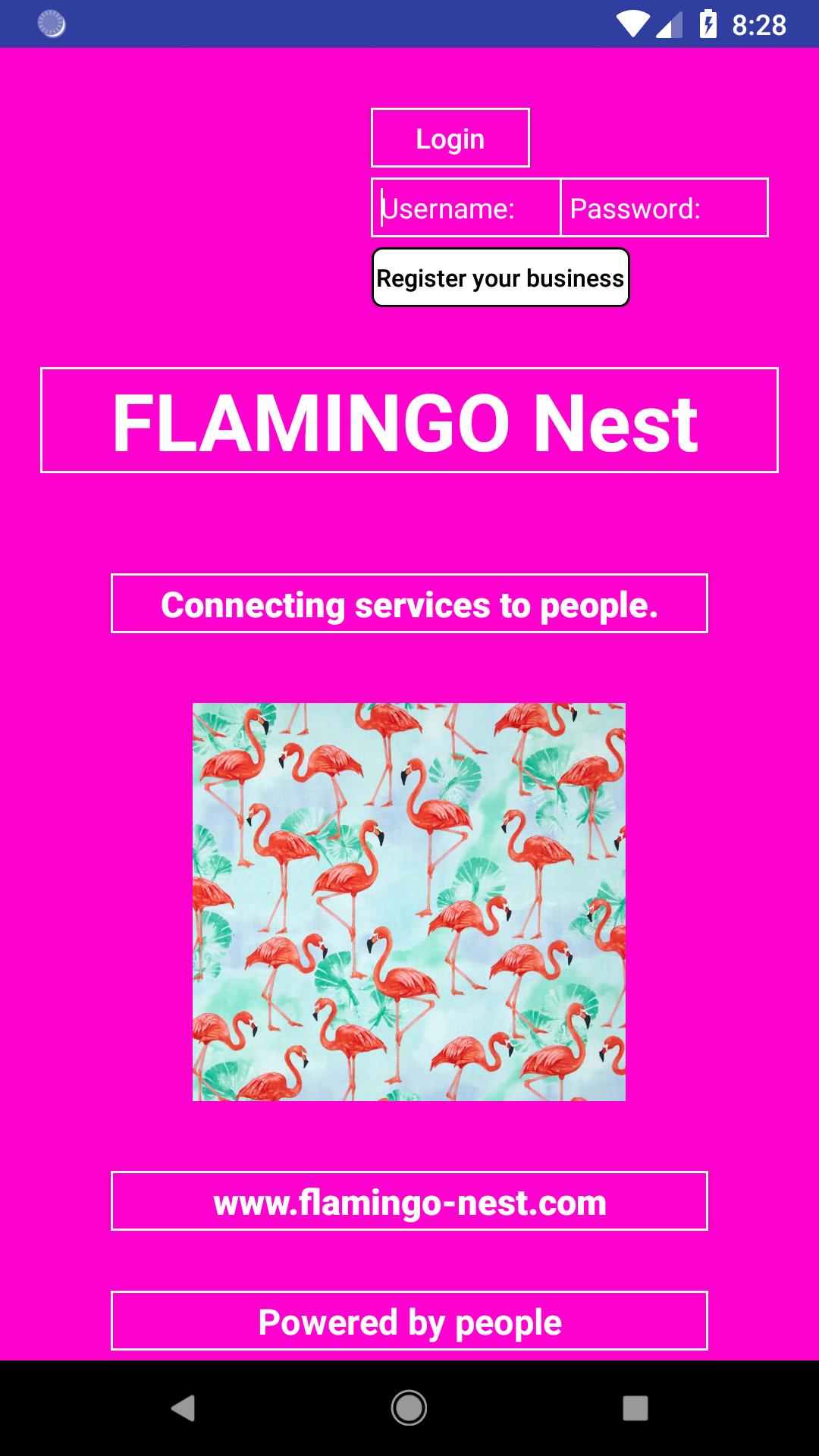 Flamingo Username And Password