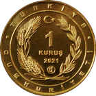 Monnaies de Turquie icône