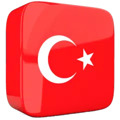Скачать Learn Turkish Phrases Offline APK