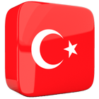 Learn Turkish Phrases Offline ícone