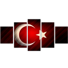 Türkiye Duvar Kağıtları HD иконка