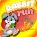”Rabbit Run