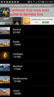 Bible Audio Screenshot 3