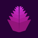 Wally APK