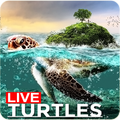 🐢 Sea Turtle Lock Screen Live