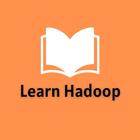 Learn Hadoop ícone