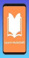 Learn MuleSoft Cartaz