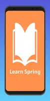 Learn Spring Plakat